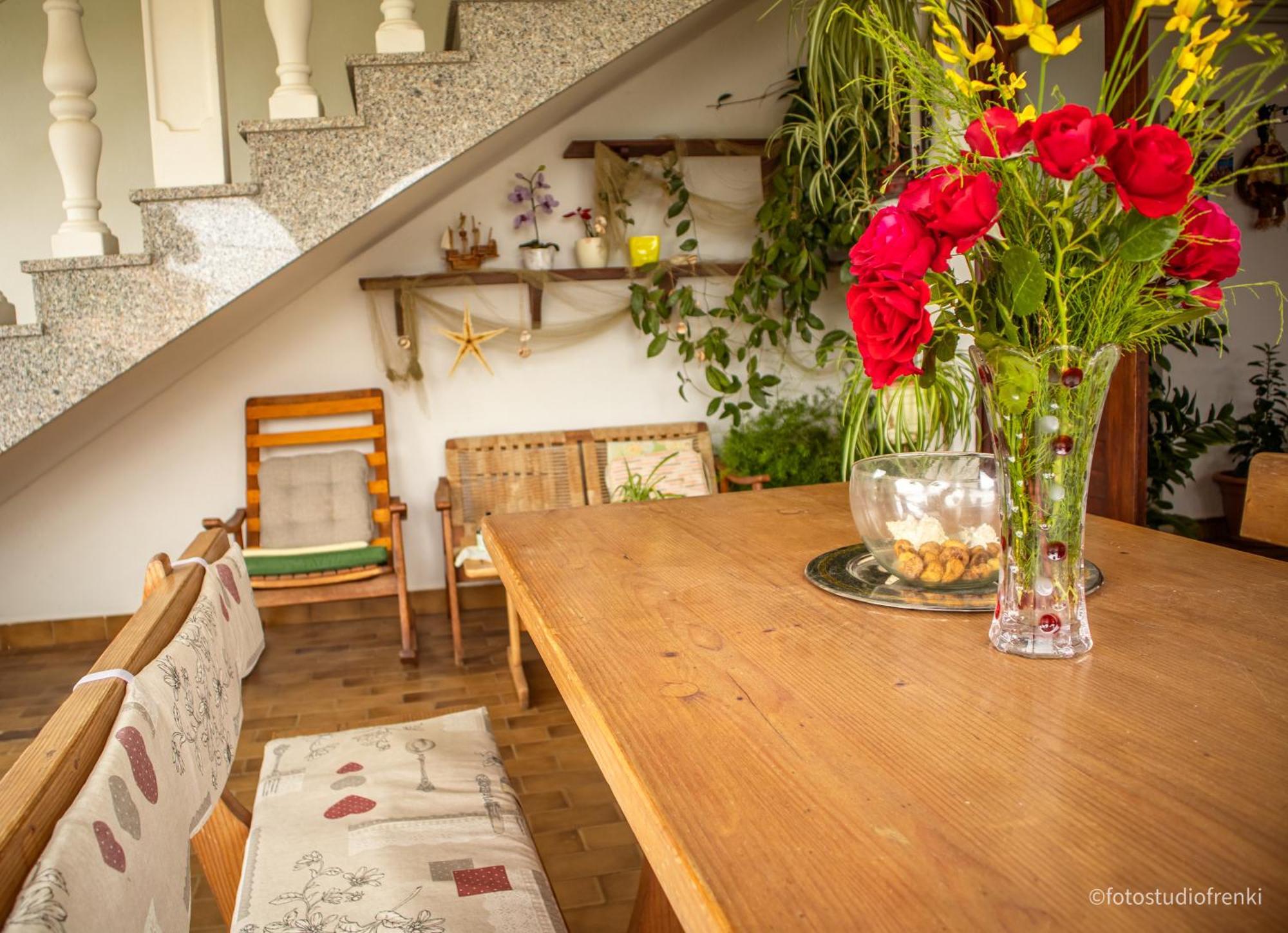 Guesthouse Marija 洛帕 外观 照片