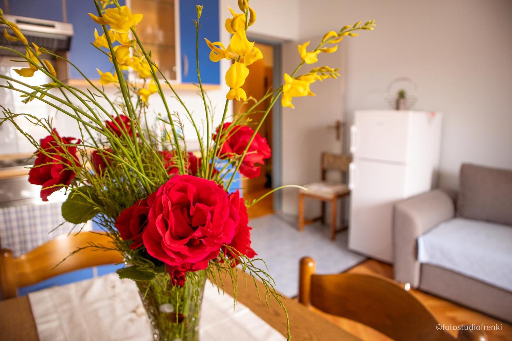 Guesthouse Marija 洛帕 外观 照片
