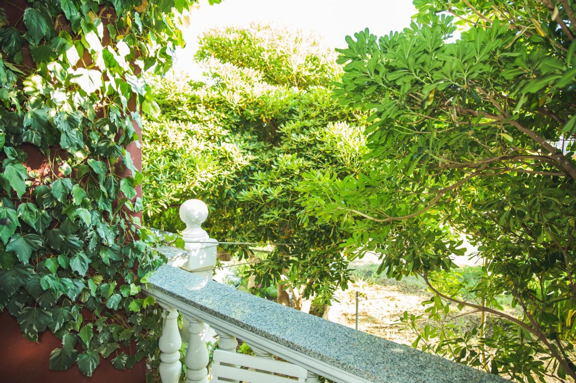 Guesthouse Marija 洛帕 外观 照片
